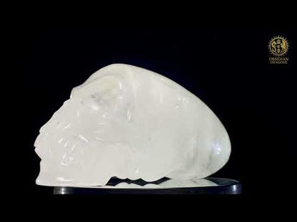 Crâne de Cristal Alien en Quartz Lodolite – Reflets Cosmiques