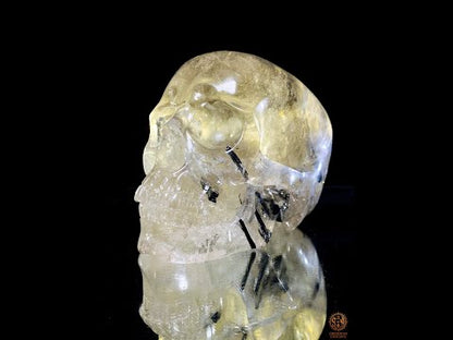 Crâne de Cristal en Quartz Fumé à Tourmaline Noire - Rare
