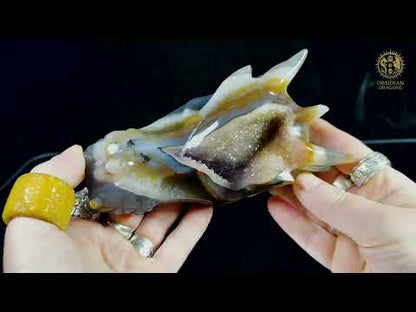 Crâne de dragon en géode de quartz & agate – Ancrage
