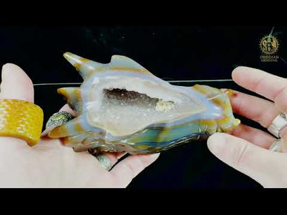 Crâne de dragon en géode de quartz, agate – Transmutation