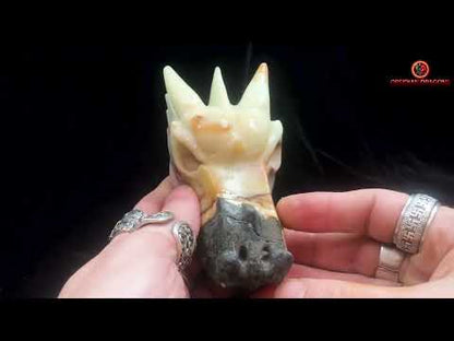 Crâne de dragon- Aragonite- Artisanal