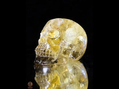 Crâne de Cristal en Quartz Fumé – Reflets Arc-en-Ciel - rare