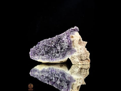 Grand Crâne de Cristal en Améthyste Brute – Esprit Primordial