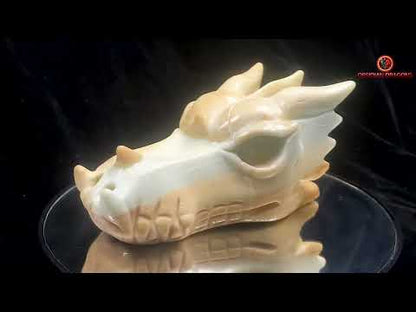 Crâne de dragon en Aragonite- Unique