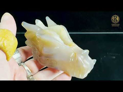 Crâne de dragon en géode de quartz – Lumière intérieure