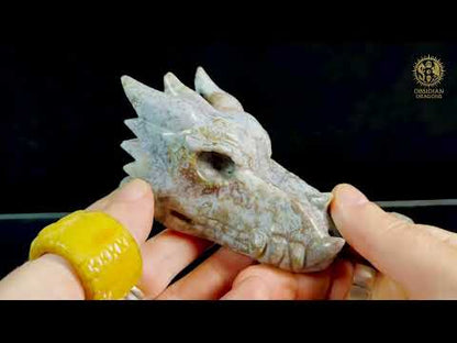 Crâne de dragon en agate mousse – Racine du temps