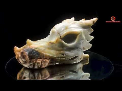 Crâne de dragon pour méditation- Aragonite