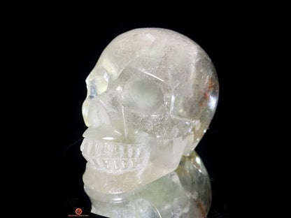 Crâne de Cristal en Quartz jardin – Crâne de cristal unique