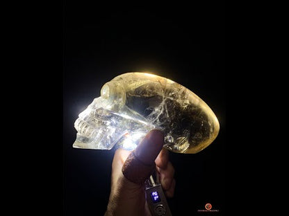 Grand Crâne de Cristal Alien Allongé – Quartz Fumé - 2,16kg