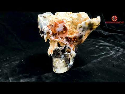 Crâne de cristal exceptionnel- Concrétions dans agate