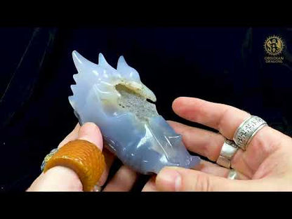 Chalcedon Drachenschädel - Geode - Star Watcher