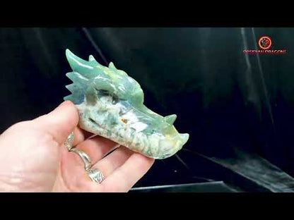 Crâne de Dragon en Agate Mousse - Transformation Intérieure