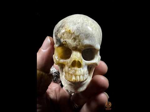 video youtube du Crâne en corail fossile – Pièce artisanale unique