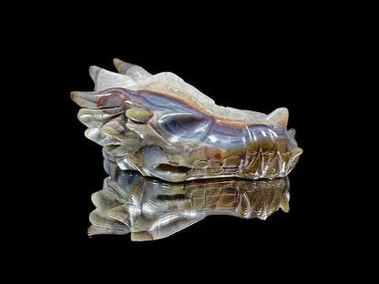 Crâne de dragon en géode de quartz – Faille de Givre