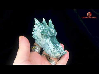 Crâne de Dragon en Agate Mousse - Puissance et Équilibre