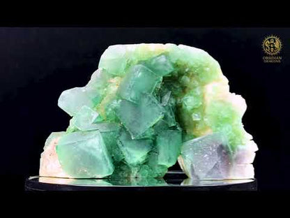 Crâne de Cristal en Fluorite Verte Brute – Crâne ailé