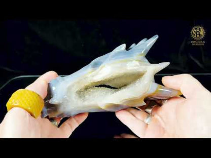 Crâne de dragon en géode de quartz & agate – Axe intérieur