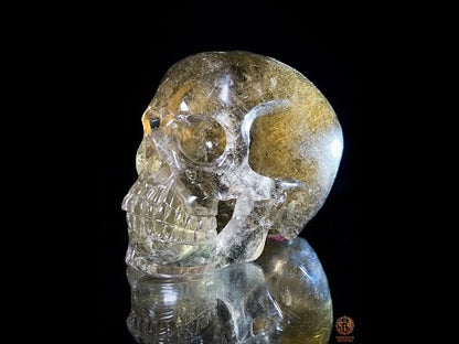 Crâne de Cristal en Quartz Rutile - Quartz fumé - Rarissime