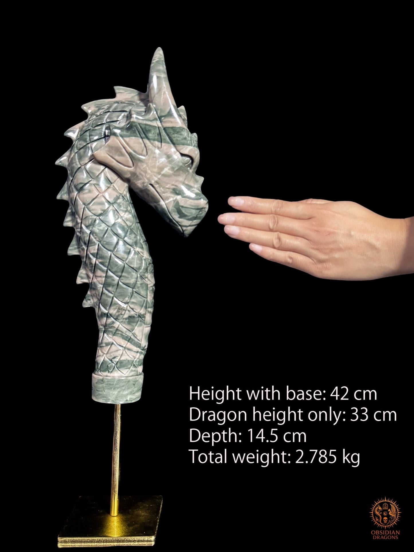 Sculpture de dragon en jade Jiulong avec main pour l’échelle : hauteur 42 cm avec socle, dragon seul 33 cm, profondeur 14,5 cm, poids 2,785 kg

