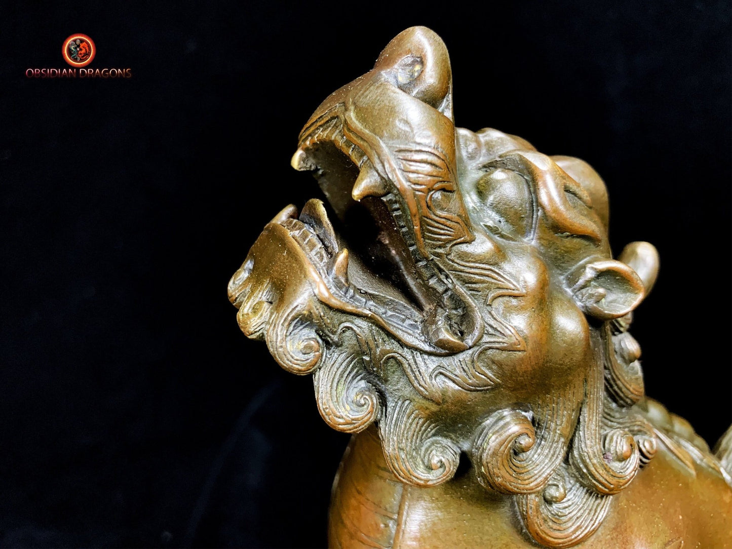 Statuette Pixiu en Bronze - Protection et Prospérité Feng Shui | obsidian dragons