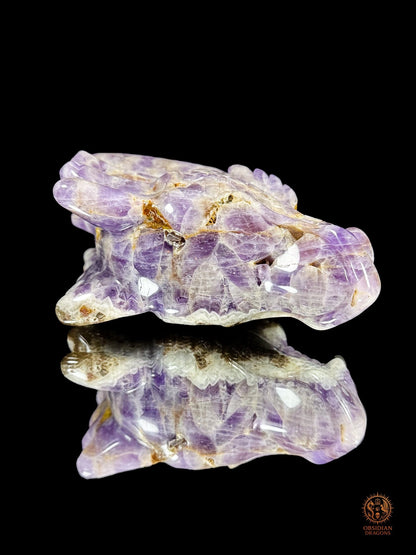 Tête de dragon en améthyste chevron - Le régénérateur - obsidian dragons