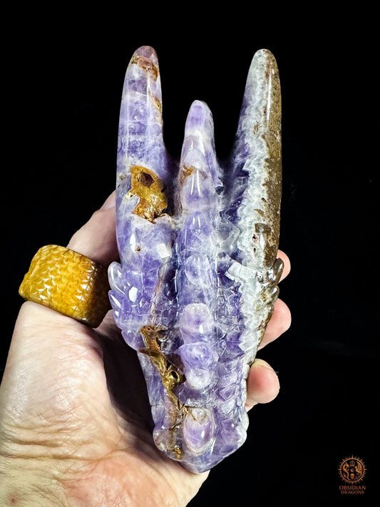 Tête de dragon en améthyste chevron - Le régénérateur | obsidian dragons