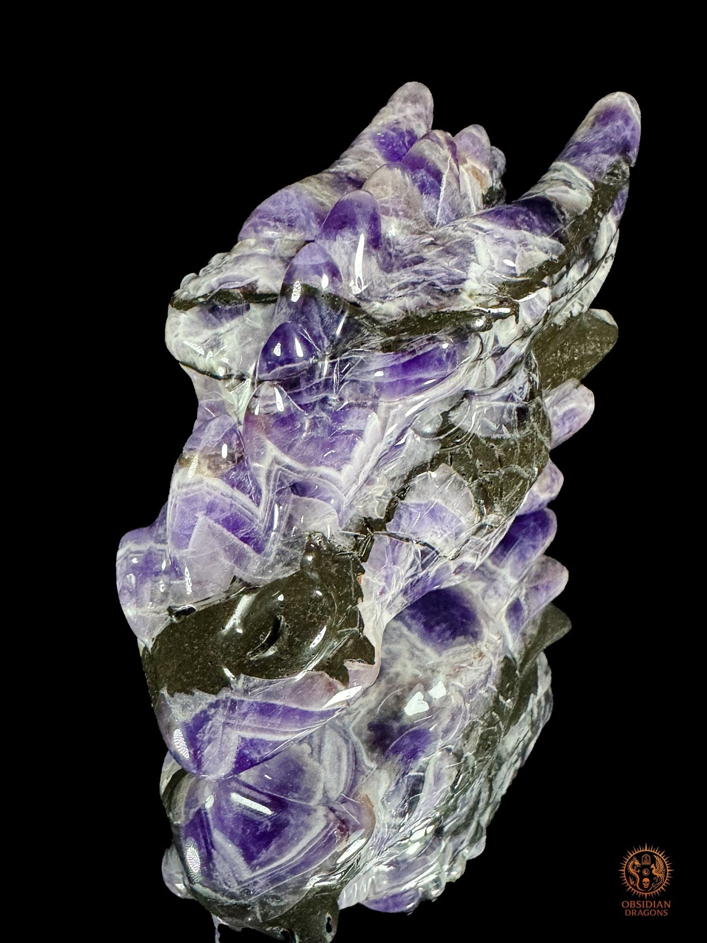 Tête de dragon en améthyste chevron - Le survivant - obsidian dragons