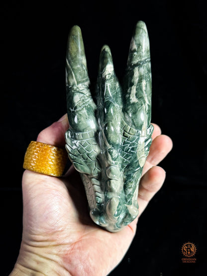 Tête de dragon en jade Hua’an Yu – Ancrage | obsidian dragons