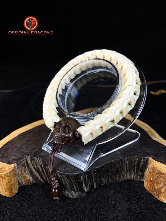 Bracelet Serpent, Vertèbres & Crâne