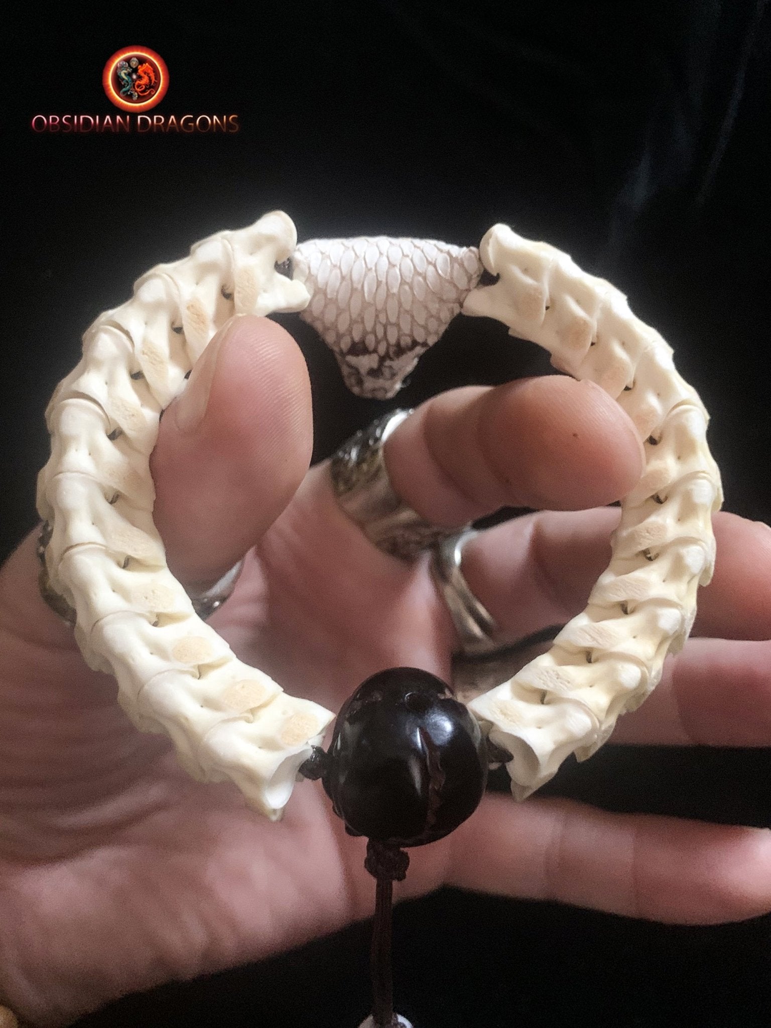 Bracelet en vertèbres de serpent- Tête de cobra naturalisée