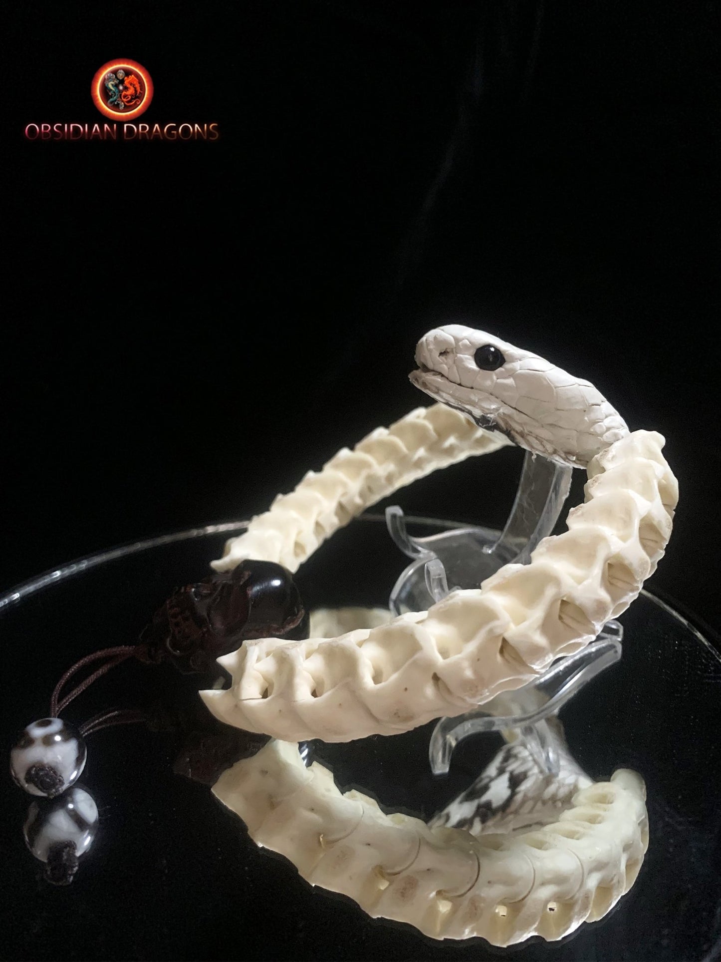 Bracelet en vertèbres de serpent- Tête de cobra naturalisée