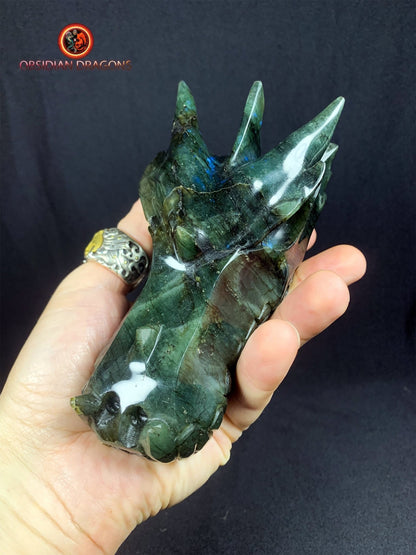 crâne de dragon- Labradorite- Unique