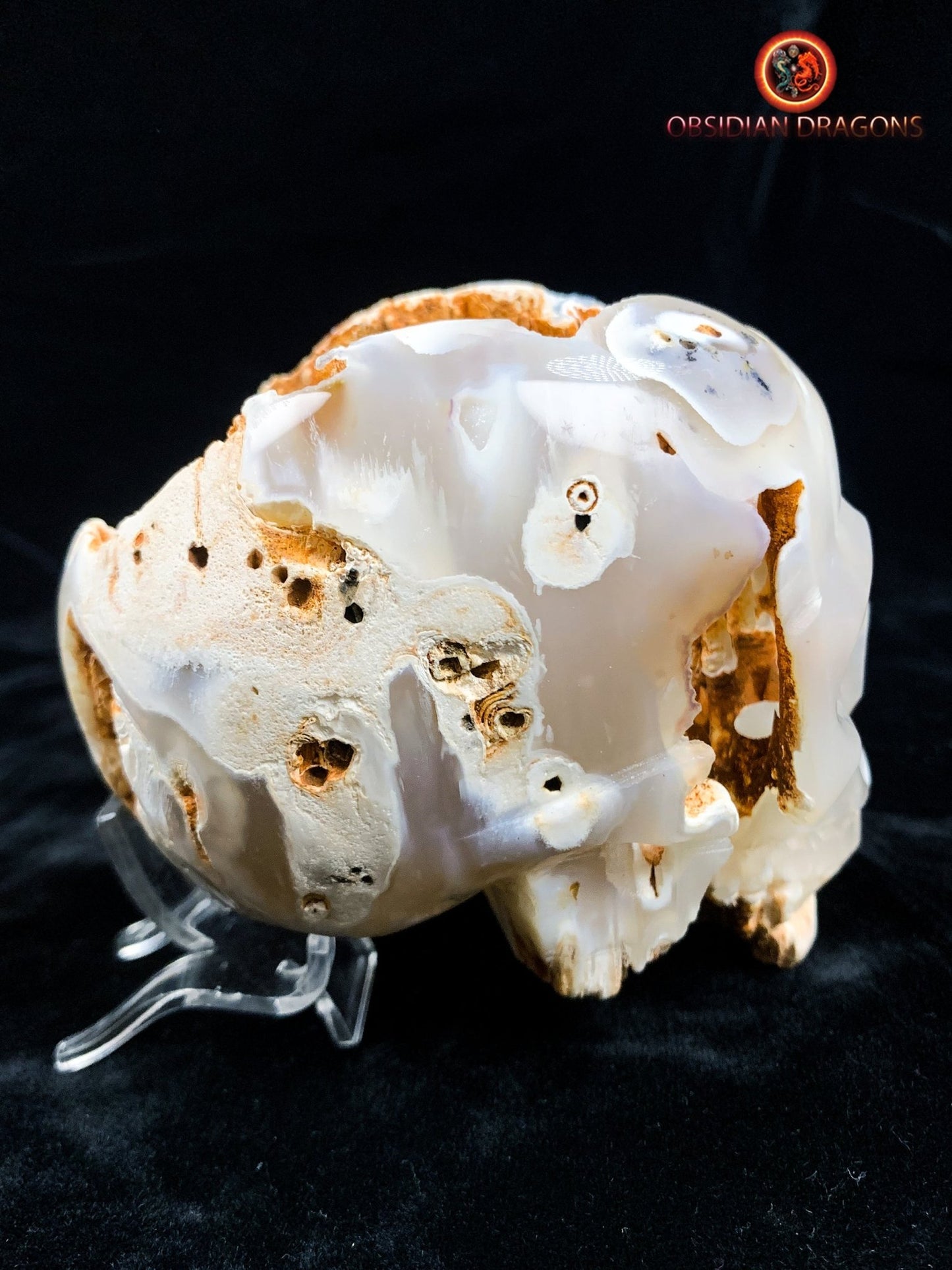 Crâne de cristal d'exception- Concrétions stalactiformes