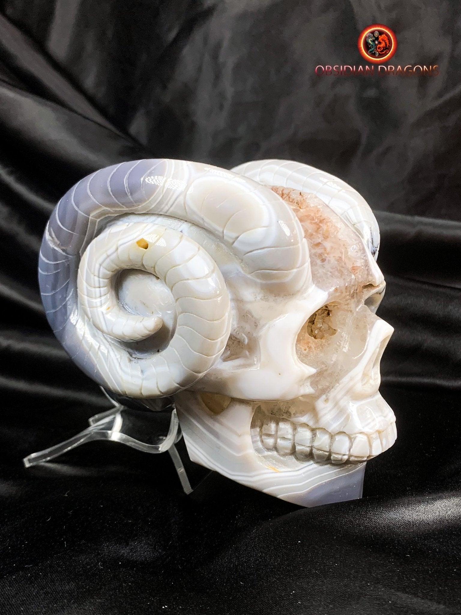 Crâne de cristal cornu- Géode de quartz- Unique