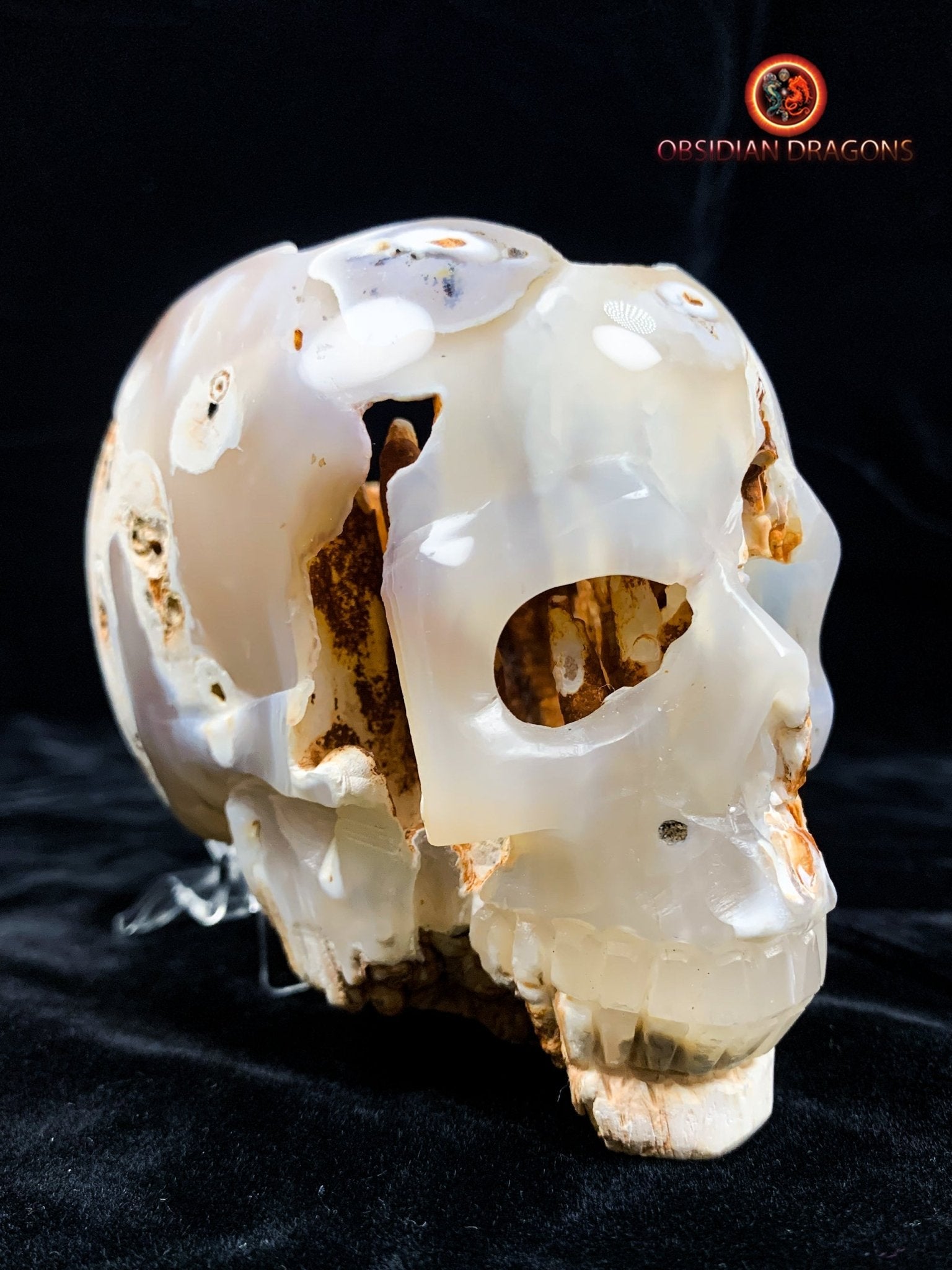 Crâne de cristal d'exception- Concrétions stalactiformes