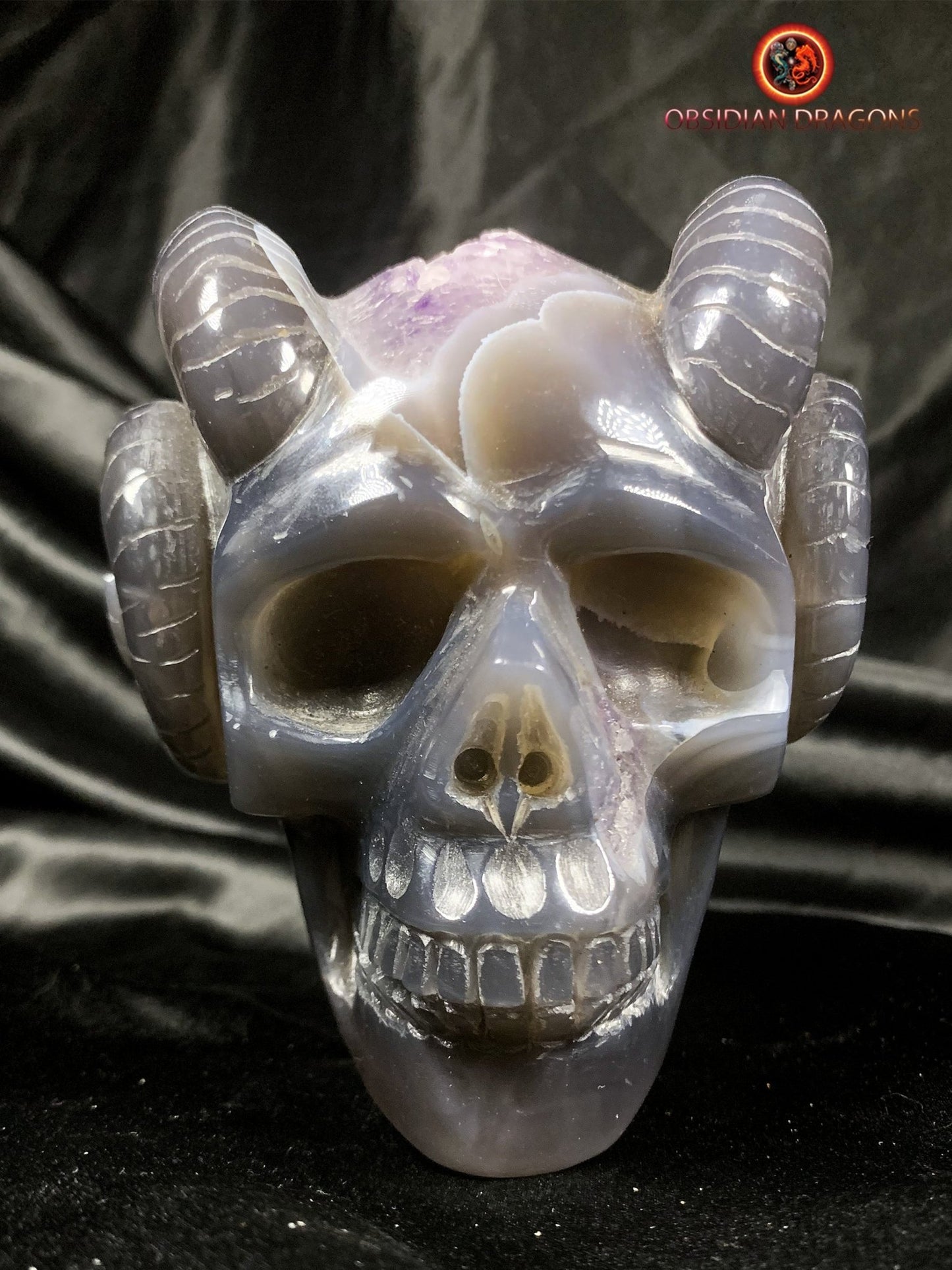 Crâne de cristal cornu- Géode d'améthyste- Unique