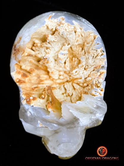 Crâne de cristal Rare- Concrétions stalactiformes