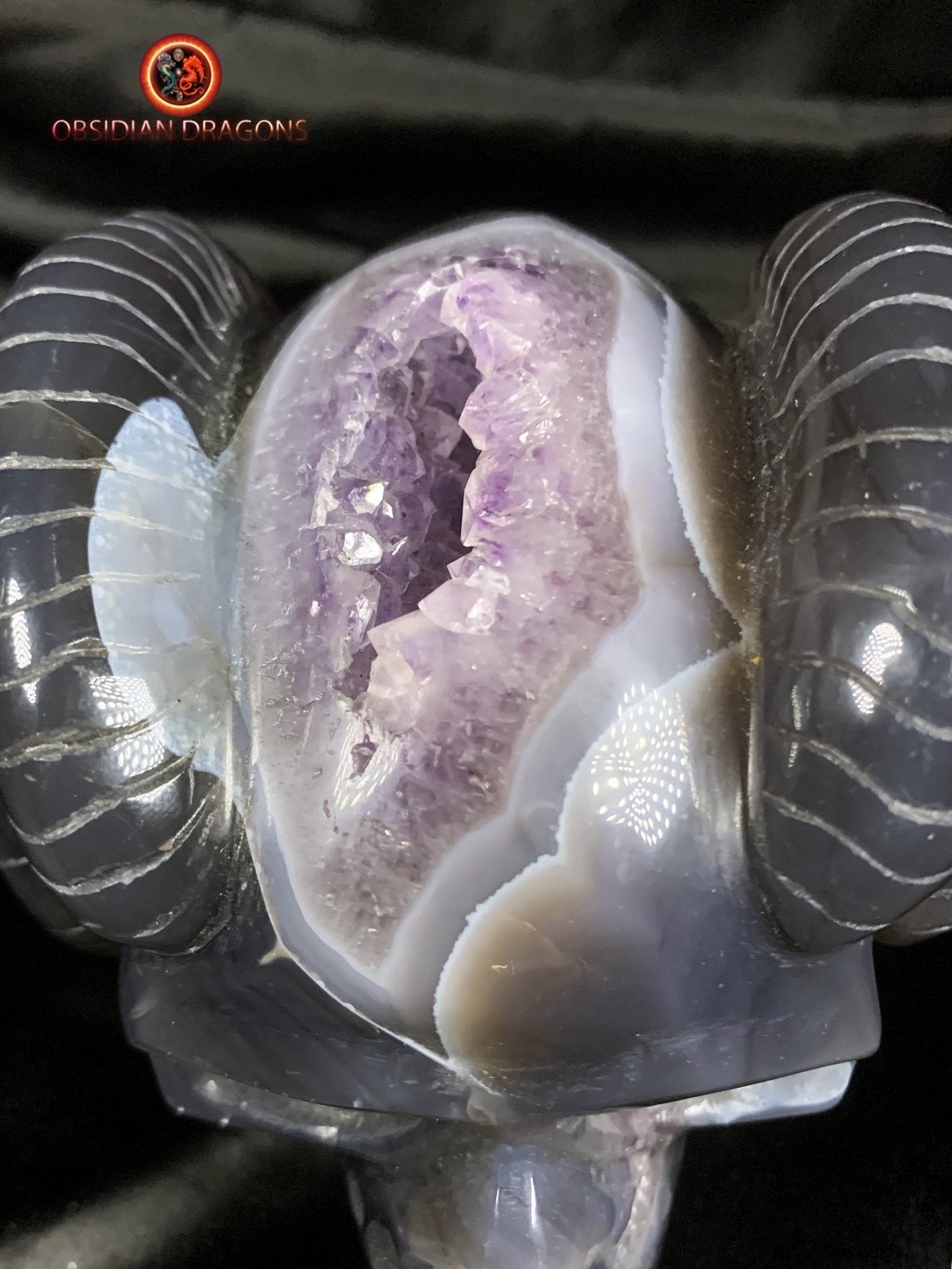 Crâne de cristal cornu- Géode d'améthyste- Unique