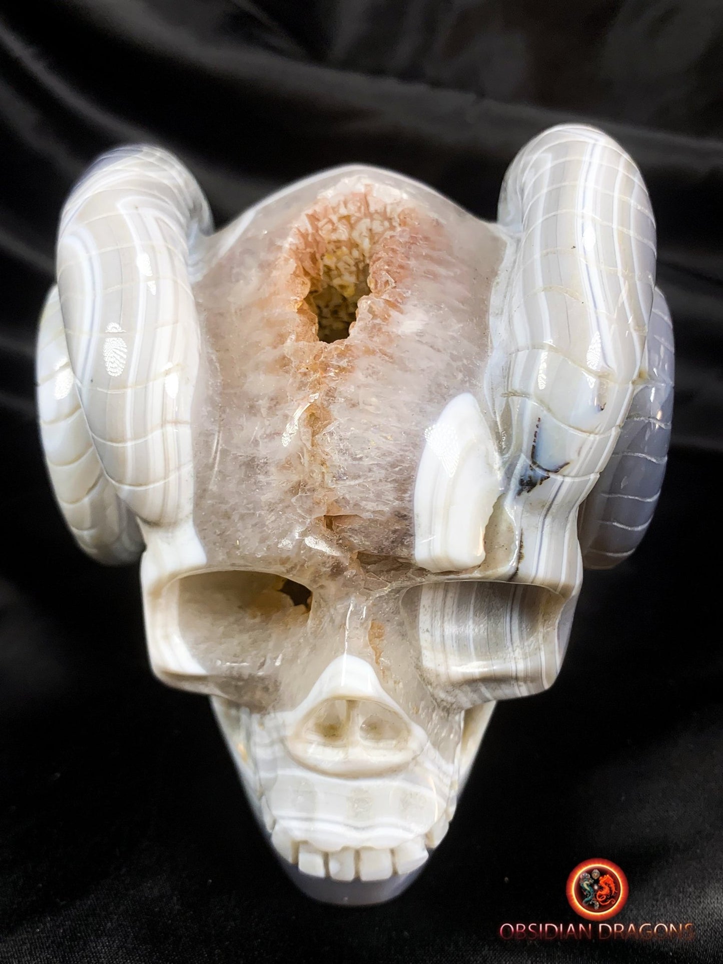 Crâne de cristal cornu- Géode de quartz- Unique