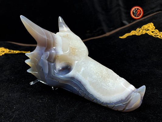 crâne de dragon, artisanal, pièce unique.