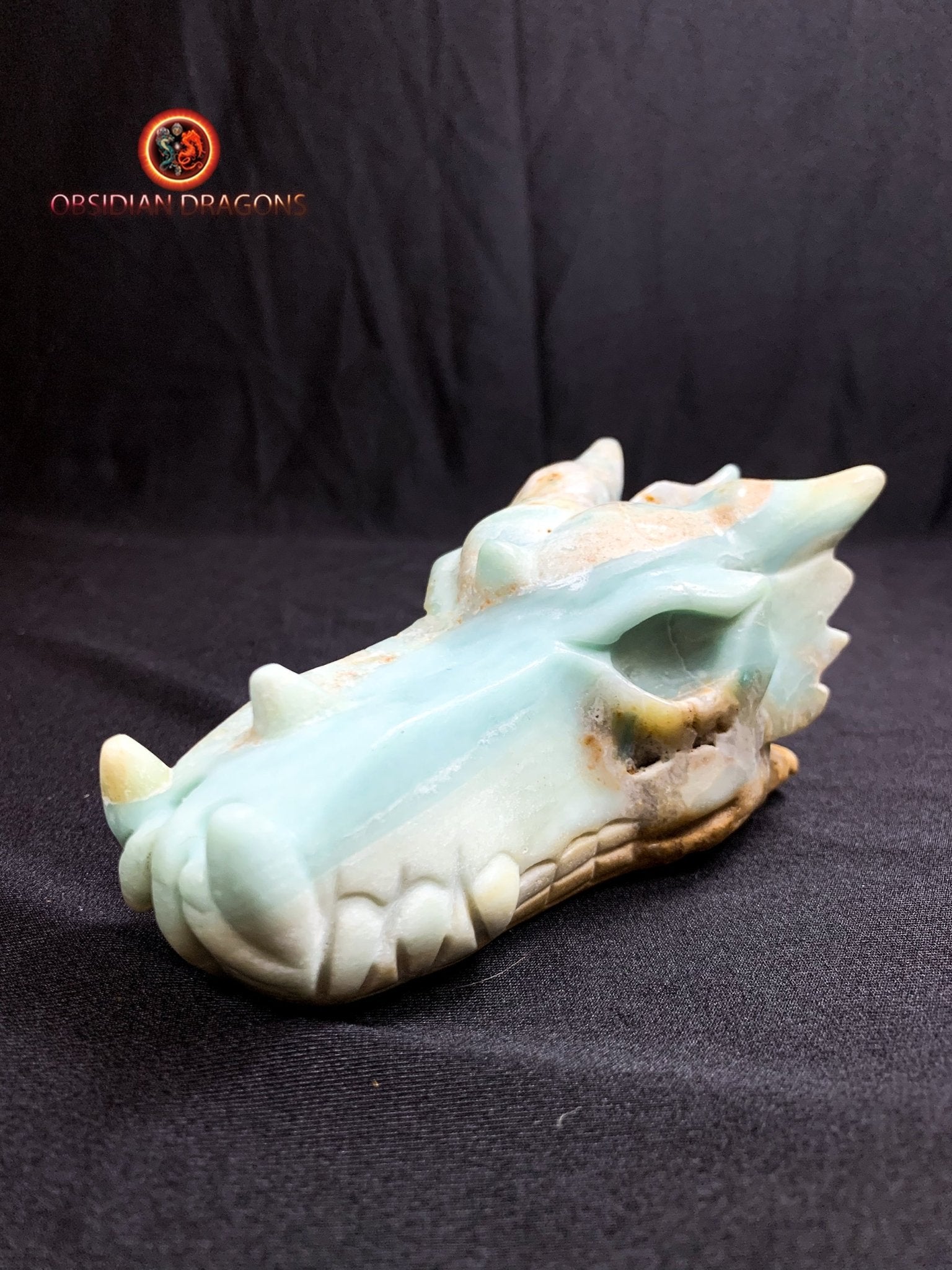 Crane de Cristal Sang de Dragon | Crâne Nation Crane de Cristal Sang de Dragon | Crâne Nation