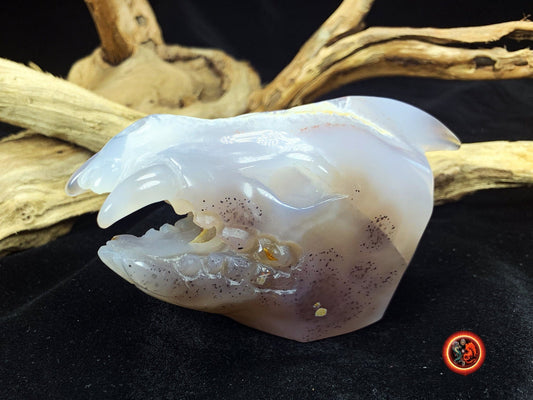 Crane de protection. Leopard Zheng. Dragon. Aspirateur d'energie impure, garant de l'ordre cosmique. Crane de dragon, sculpté dans une geode - obsidian dragon