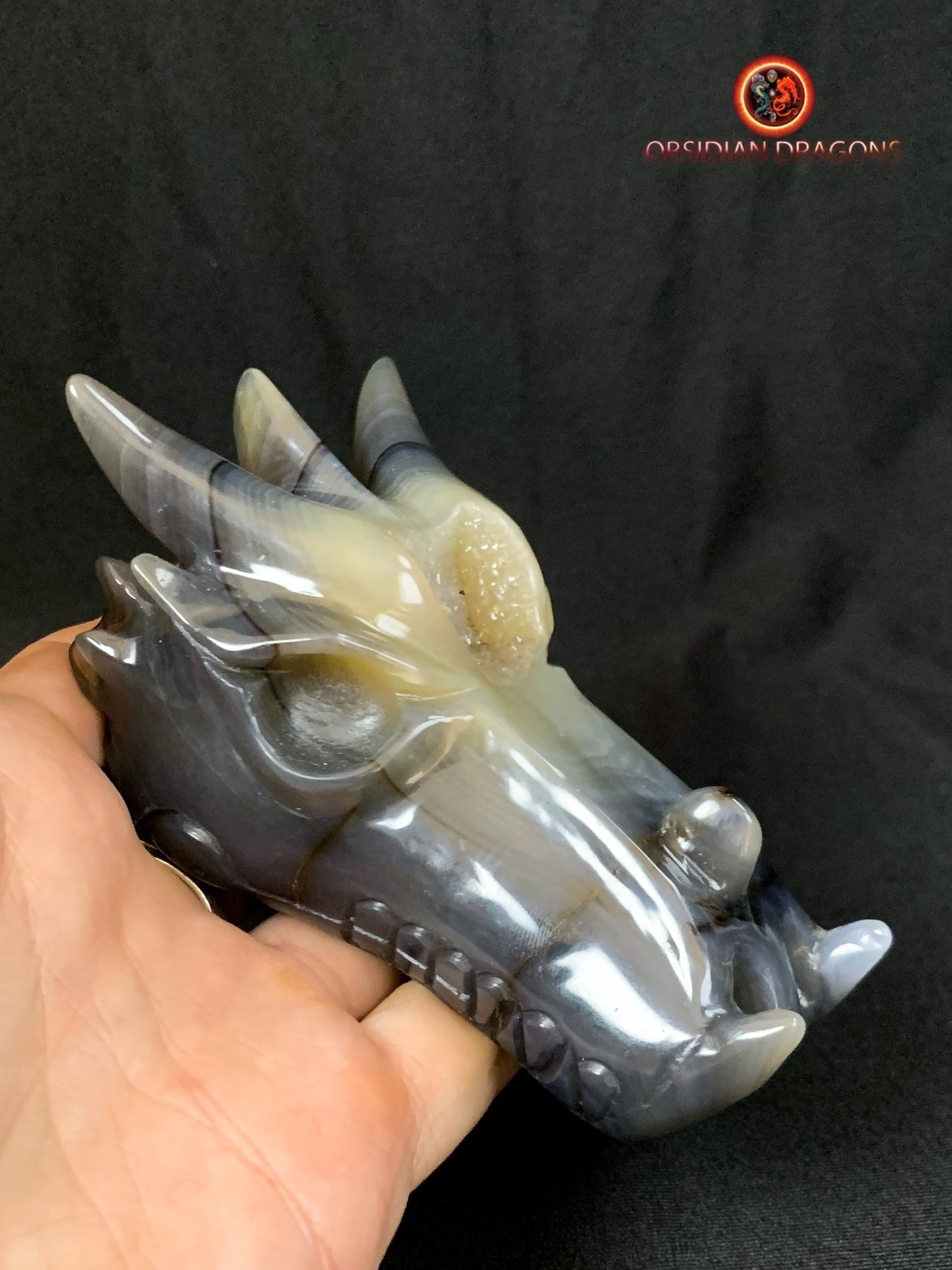 Crâne de dragon- artisanal- géode de quartz- unique