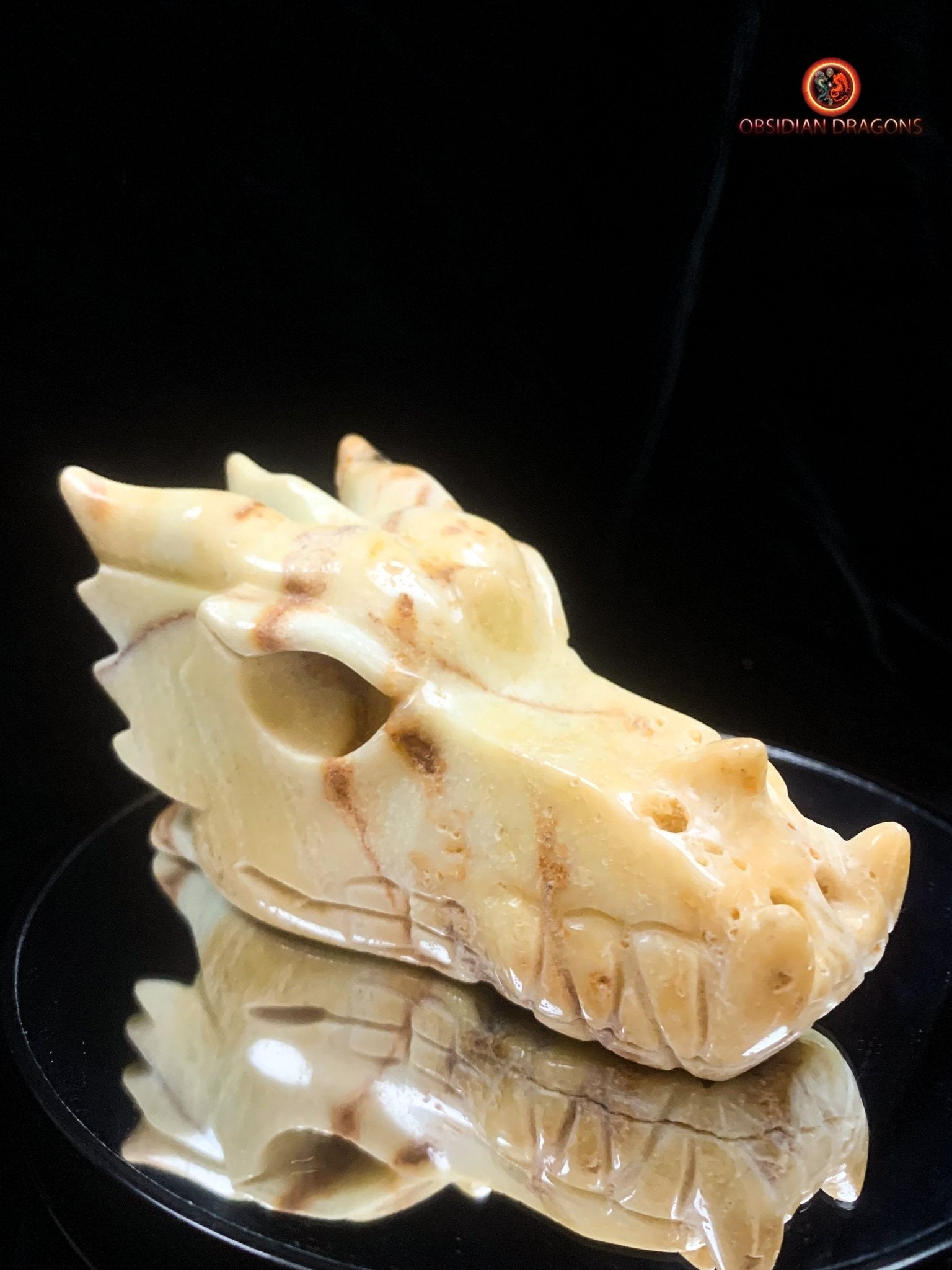 Crâne de dragon- Aragonite- Unique | obsidian dragons
