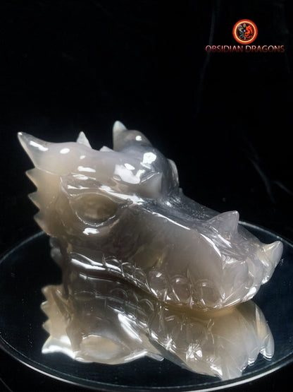 Crâne de dragon- Géode de quartz- Méditation draconique | obsidian dragons