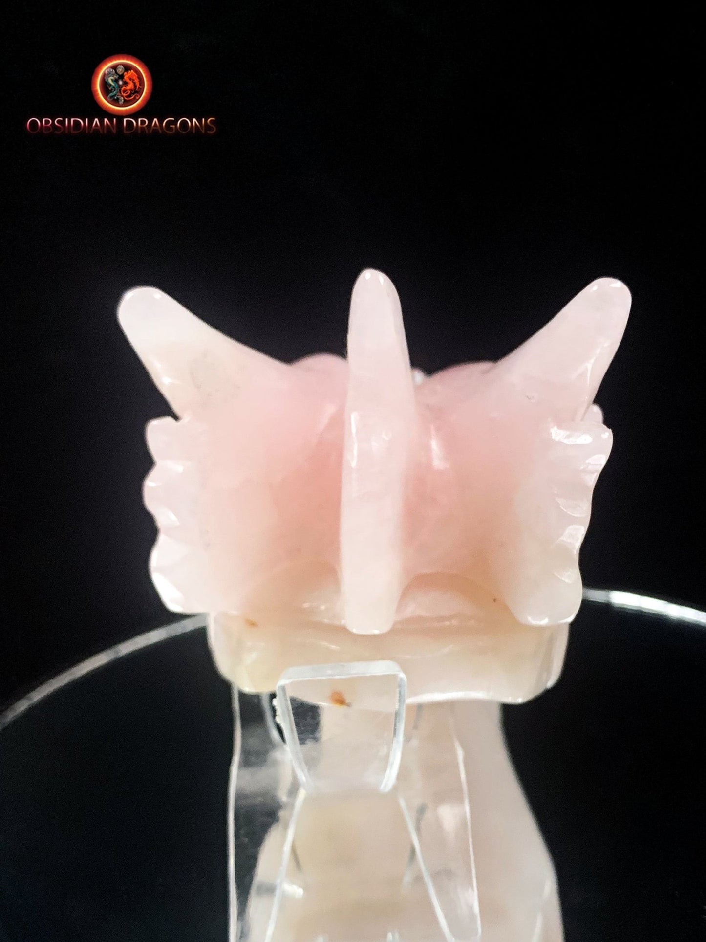 Crâne de dragon- Quartz rose- Artisanal et Unique