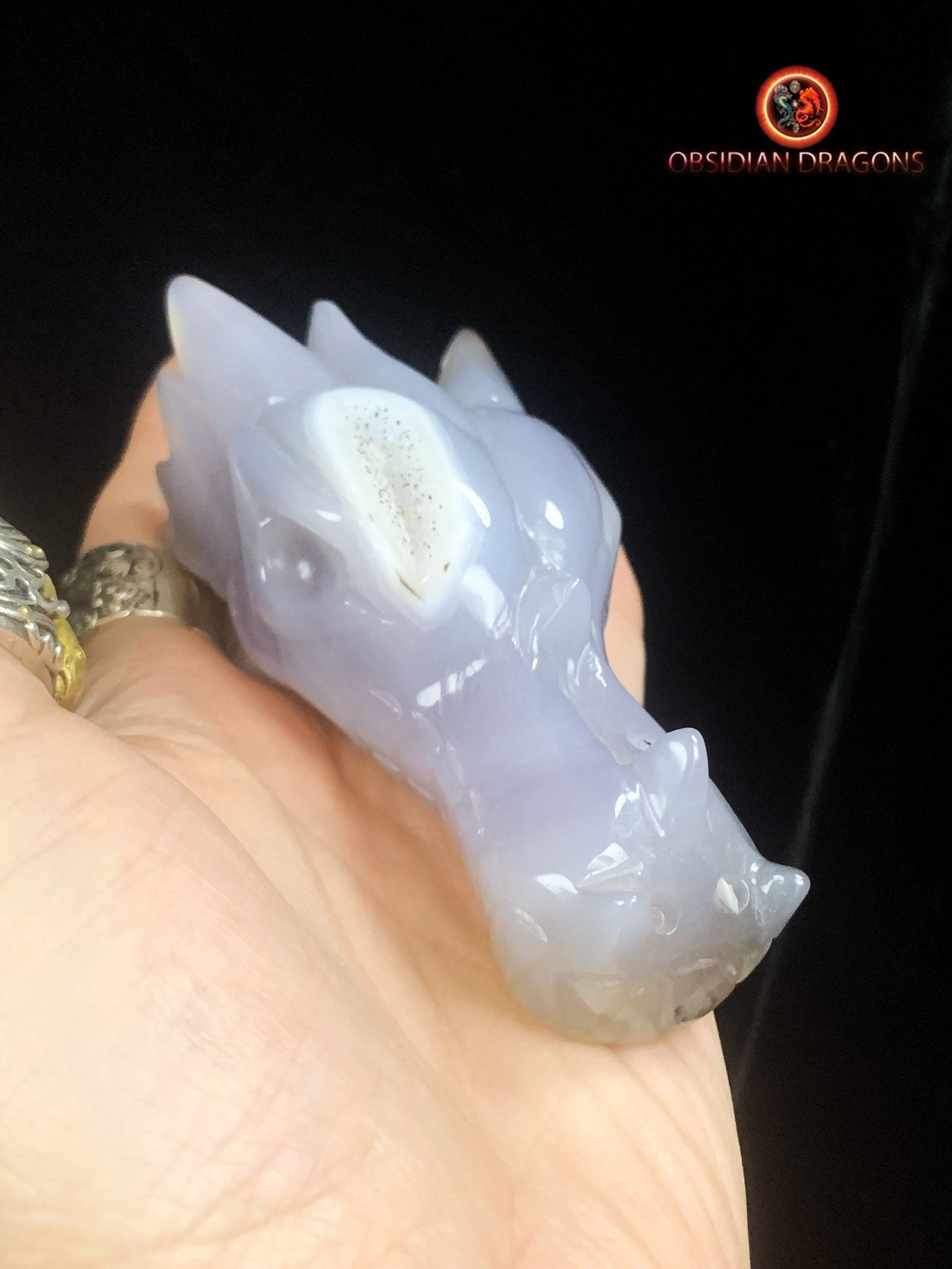 Crâne de dragon unique sculpté dans une géode de quartz | obsidian dragons