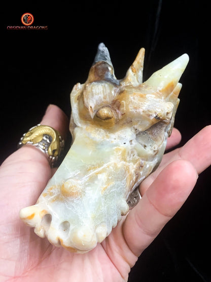 Crâne de dragon- Aragonite- Unique et artisanal | obsidian dragons