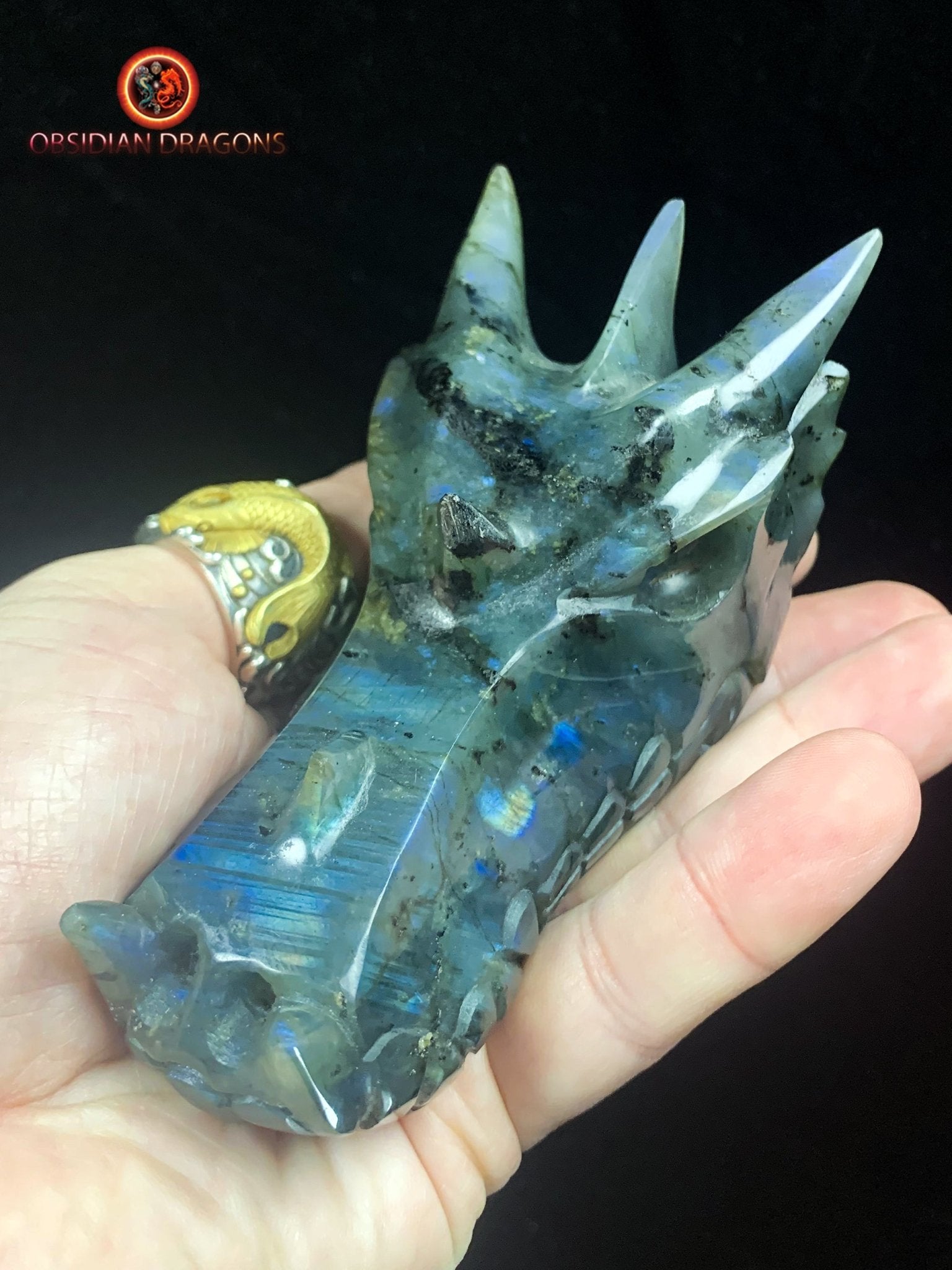 crâne de dragon en Labradorite- Artisanal