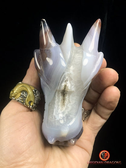 Crâne de dragon- Géode- Méditation draconique - obsidian dragons